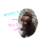 LANAのスタンプ（個別スタンプ：5）