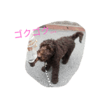 LANAのスタンプ（個別スタンプ：11）