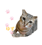 柳原家の猫たち（個別スタンプ：2）