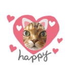 うちの猫( ^ω^ )（個別スタンプ：16）