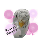 Yoko2019（個別スタンプ：5）