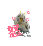 Yoko2019（個別スタンプ：6）
