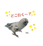 Yoko2019（個別スタンプ：8）