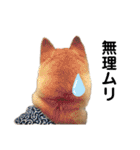 柴犬ユキチ（個別スタンプ：15）
