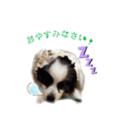 パビヨン ココア（個別スタンプ：2）
