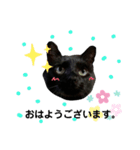 日常。(黒ねこのチョコレート)（個別スタンプ：1）