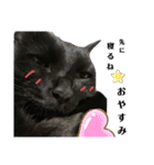 日常。(黒ねこのチョコレート)（個別スタンプ：6）