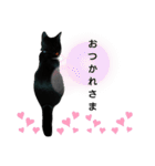 日常。(黒ねこのチョコレート)（個別スタンプ：10）