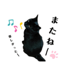 日常。(黒ねこのチョコレート)（個別スタンプ：25）