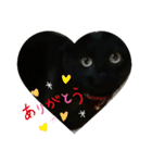 日常。(黒ねこのチョコレート)（個別スタンプ：36）