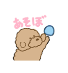 でかプーちゃんのまいにち（個別スタンプ：2）