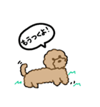 でかプーちゃんのまいにち（個別スタンプ：4）