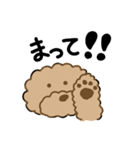 でかプーちゃんのまいにち（個別スタンプ：6）