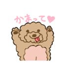 でかプーちゃんのまいにち（個別スタンプ：10）