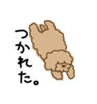 でかプーちゃんのまいにち（個別スタンプ：13）