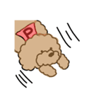 でかプーちゃんのまいにち（個別スタンプ：14）
