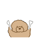 でかプーちゃんのまいにち（個別スタンプ：19）