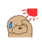 でかプーちゃんのまいにち（個別スタンプ：24）