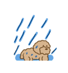 でかプーちゃんのまいにち（個別スタンプ：28）
