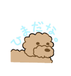 でかプーちゃんのまいにち（個別スタンプ：30）