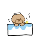 でかプーちゃんのまいにち（個別スタンプ：36）