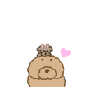 でかプーちゃんのまいにち（個別スタンプ：40）
