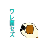 モモ町TRUTH Vol.3.1.2（個別スタンプ：20）