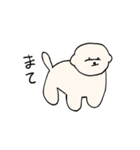 白いもふもふ犬のスタンプ（個別スタンプ：7）