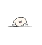 白いもふもふ犬のスタンプ（個別スタンプ：13）