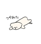 白いもふもふ犬のスタンプ（個別スタンプ：28）