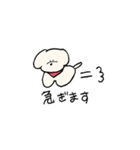 白いもふもふ犬のスタンプ（個別スタンプ：31）