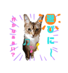 キノっちの日常生活言葉（個別スタンプ：4）