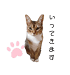 キノっちの日常生活言葉（個別スタンプ：5）