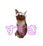キノっちの日常生活言葉（個別スタンプ：13）
