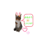 キノっちの日常生活言葉（個別スタンプ：15）