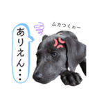 大城kids第4弾（個別スタンプ：6）