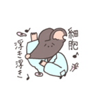 生物系実験がうまくいかないネズミさん（個別スタンプ：9）