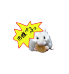 あこちゃんの日常！（個別スタンプ：15）