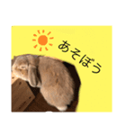 夢吉さんのスタンプ（個別スタンプ：1）