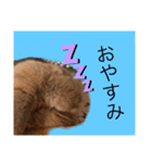夢吉さんのスタンプ（個別スタンプ：2）