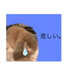 夢吉さんのスタンプ（個別スタンプ：8）