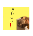 夢吉さんのスタンプ（個別スタンプ：10）