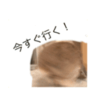 夢吉さんのスタンプ（個別スタンプ：14）