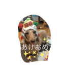 アウディの日常①（個別スタンプ：4）