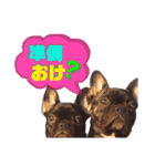 フレブル風丸くんと風夏ちゃんのスタンプ♡（個別スタンプ：6）