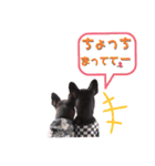 フレブル風丸くんと風夏ちゃんのスタンプ♡（個別スタンプ：7）