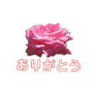 ゆういちな日常（個別スタンプ：21）