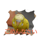 ゆういちな日常（個別スタンプ：22）