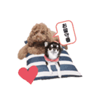 きなごま（個別スタンプ：2）