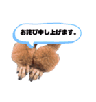 きなごま（個別スタンプ：13）